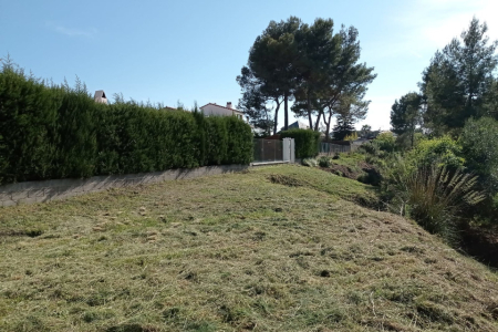 Franja forestal de Fontpineda