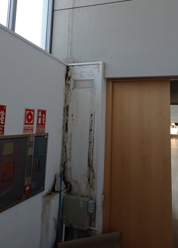 Sala Pal·làdius