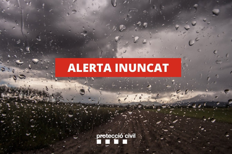 Pla INUNCAT