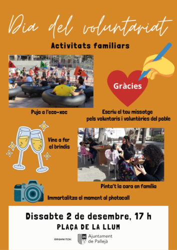Jornada del voluntariat