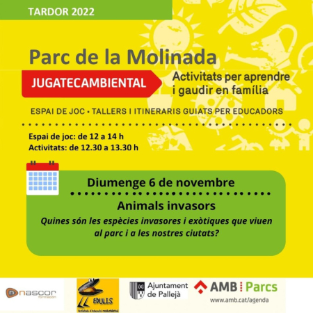 Jugateca ambiental 6/11