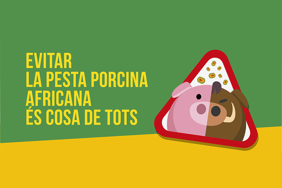 Pesta porcina africana