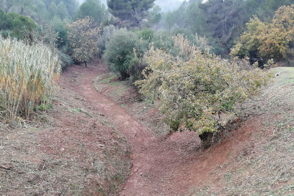 Riera Boter