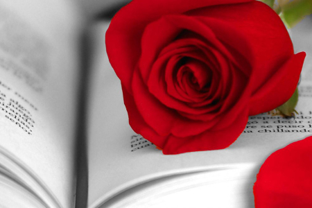 Sant Jordi