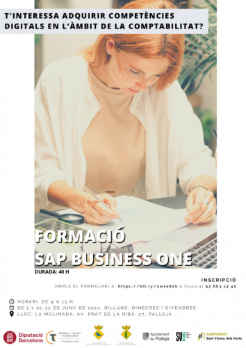 SAP Business One - cartell informatiu