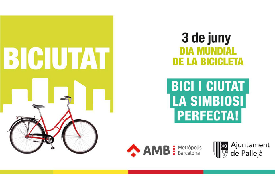 Dia Mundial de la Bicicleta