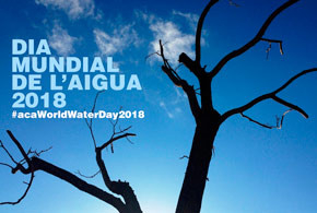 Dia Mundial de l'Aigua
