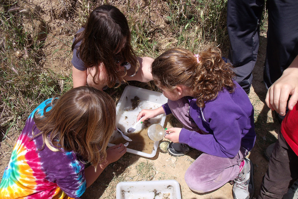 Taller de macroinvertebrats