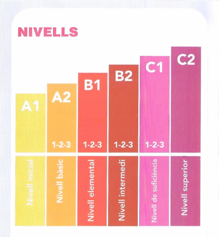 Nivells dels cursos