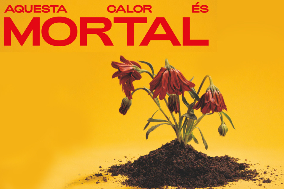 Imatge de la campanya